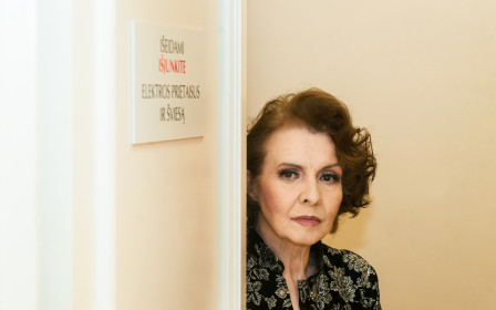 Vaidmenų retrospektyva: Vilniaus mažasis teatras kviečia į Eglei Gabrėnaitei skirtą parodą